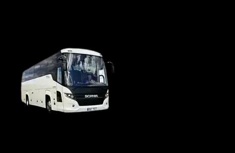 Travel Bus
